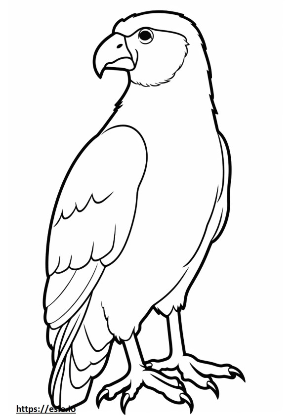 Barred Owl cute coloring page