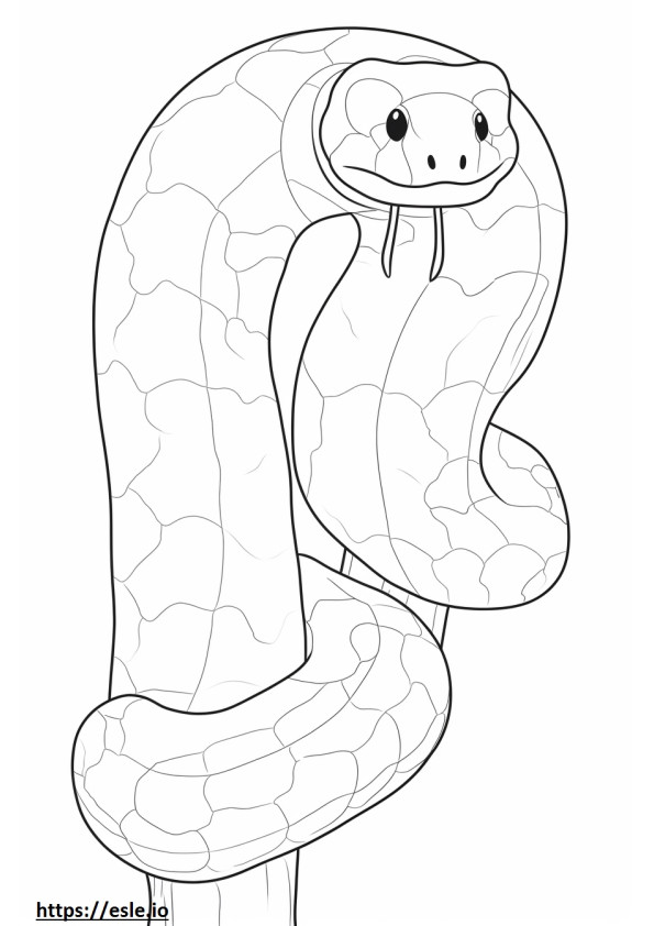 Black Pastel Ball Python cute coloring page