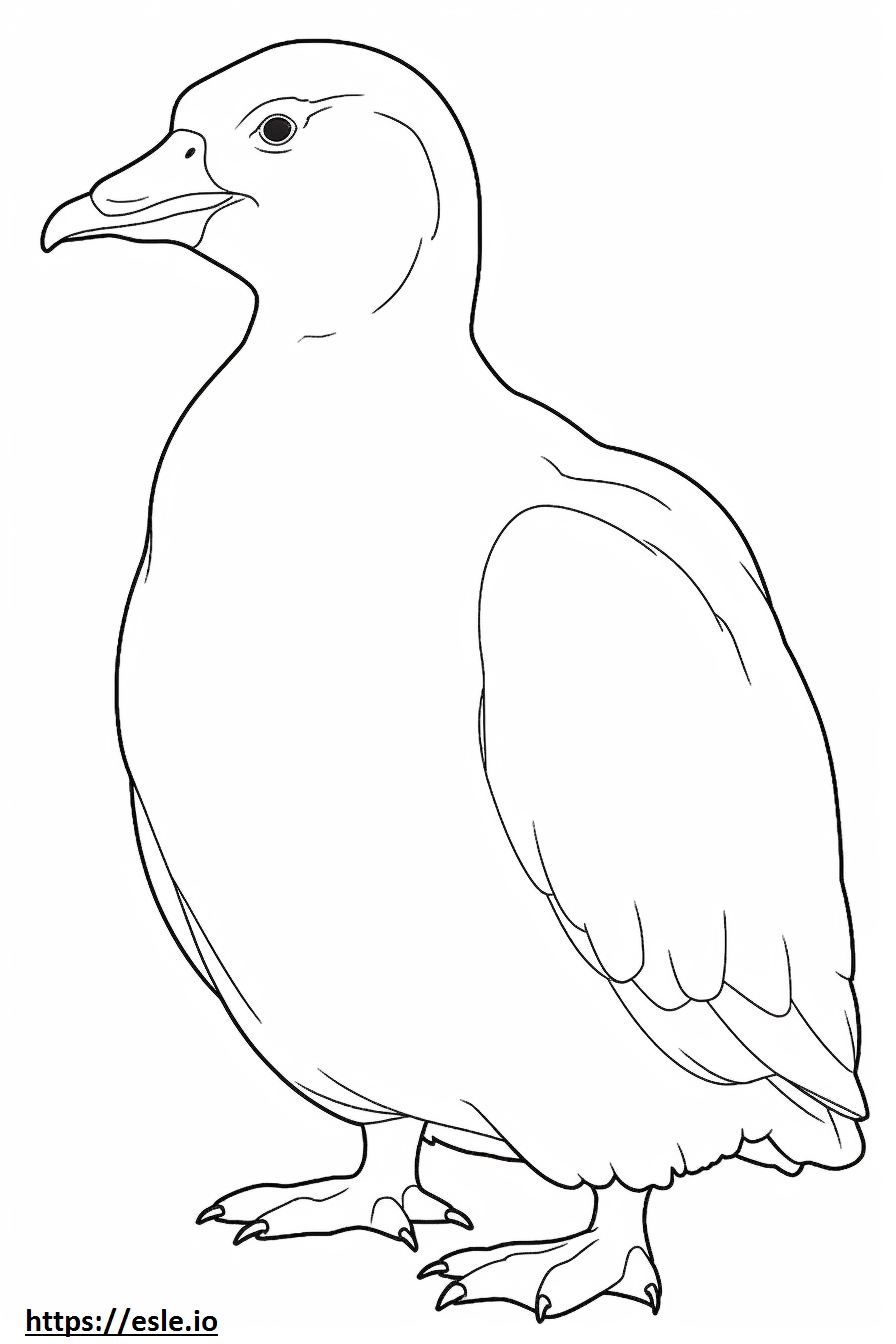Adorable Gentoo Penguin Coloring Page