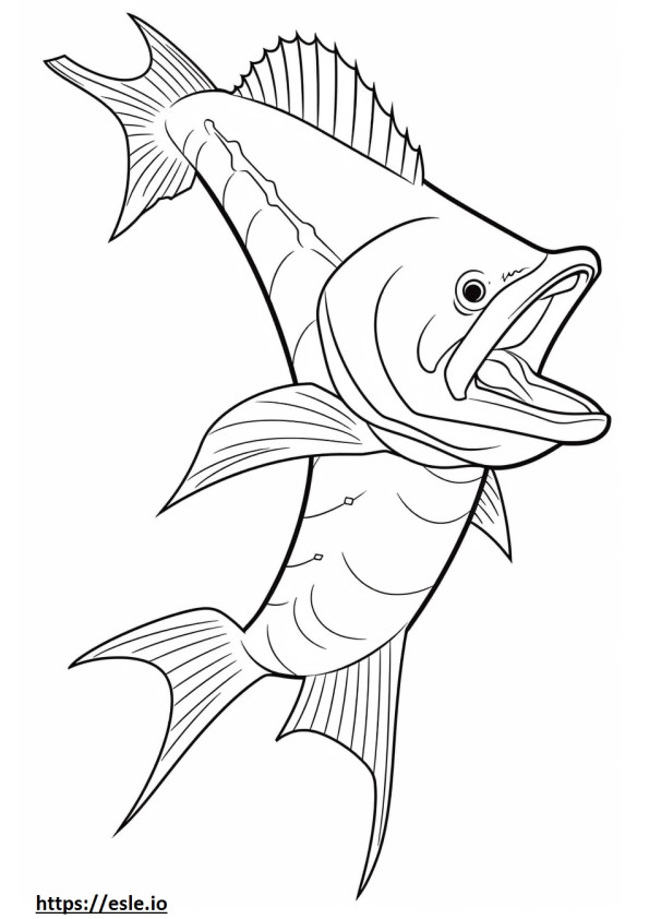 Wahoo Fish full body coloring page