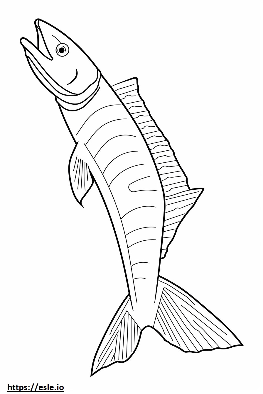 Wahoo Fish full body coloring page