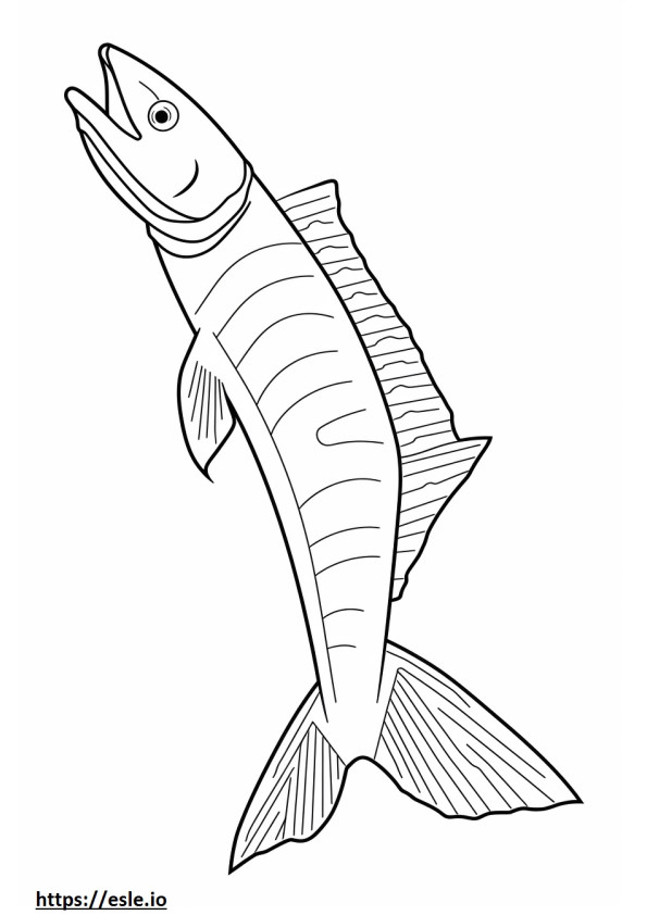 Wahoo Fish teljes test szinező