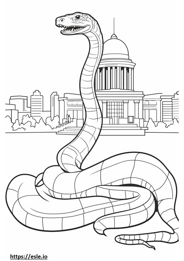 Texas Night Snake full body coloring page