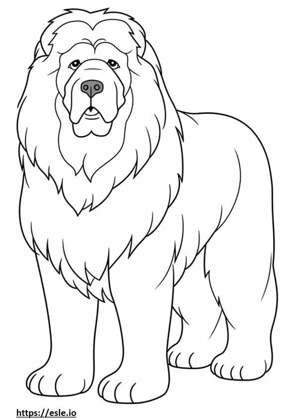 Tibetan Mastiff Kawaii 0