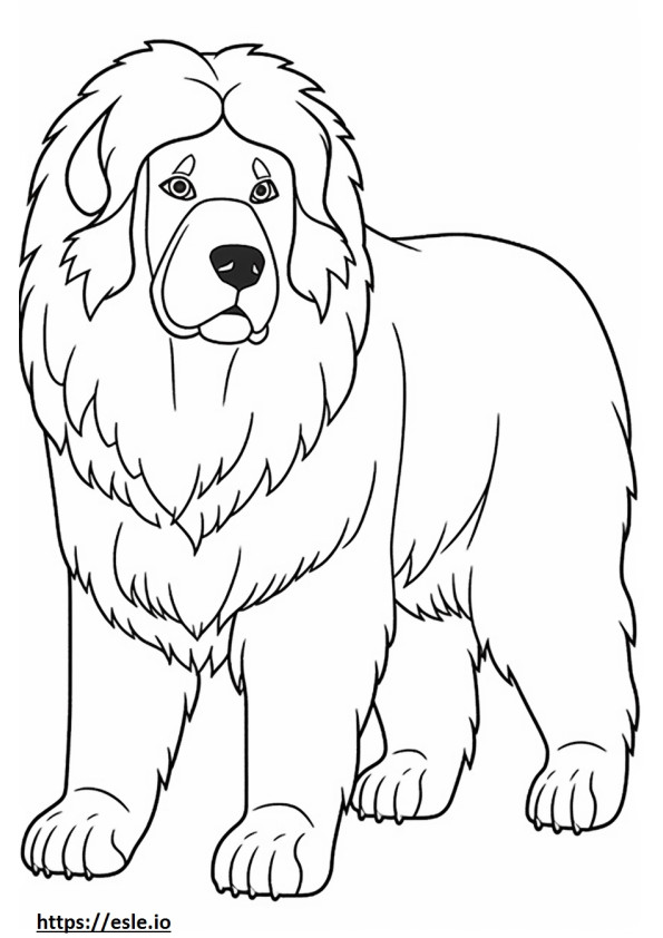 Tibetan Mastiff Kawaii 1