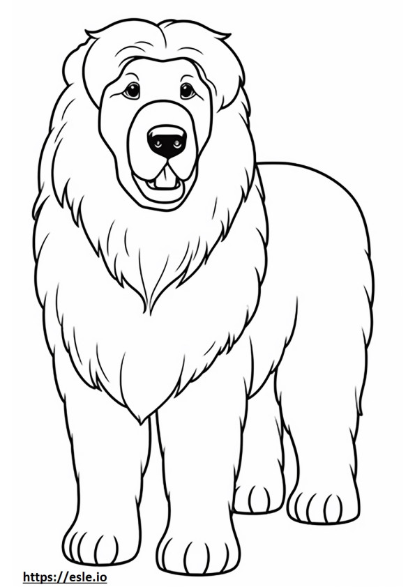 Mastim Tibetano Kawaii 2