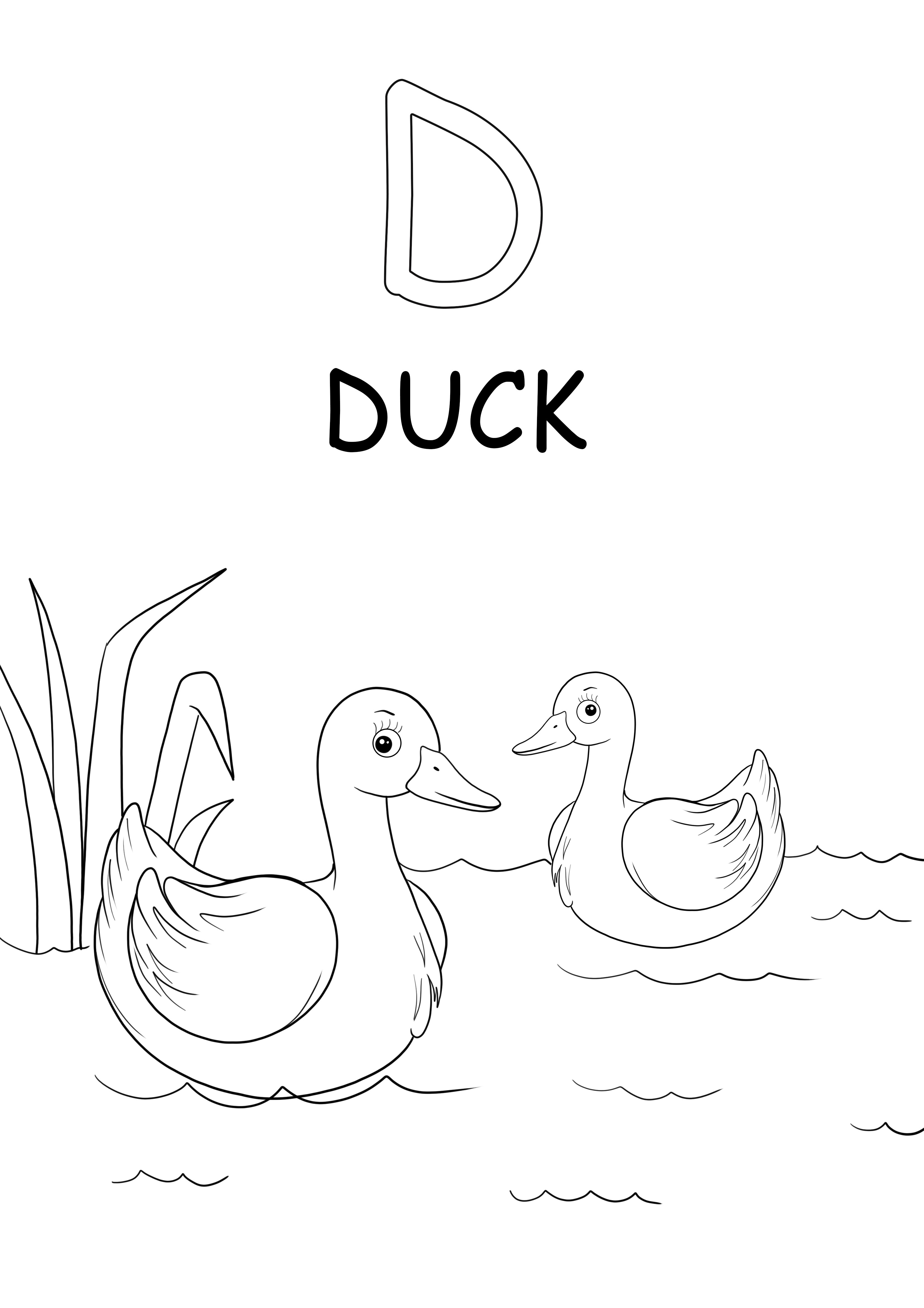 Büyük harf D, ördek kelimesi ücretsiz yazdırılabilir sayfa içindir