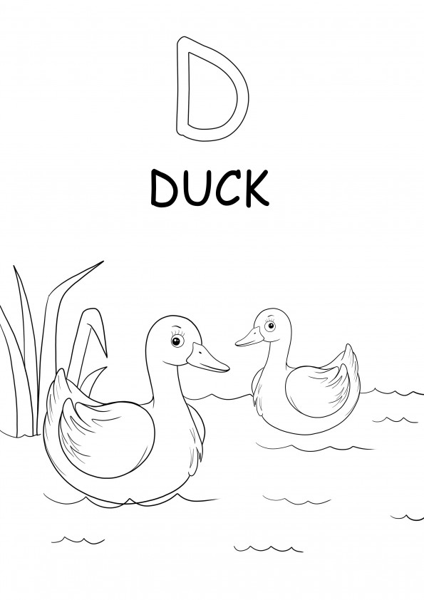 Büyük harf D, ördek kelimesi ücretsiz yazdırılabilir sayfa içindir