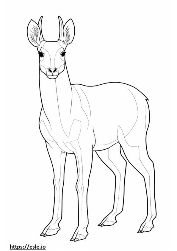 Musk Deer full body 3
