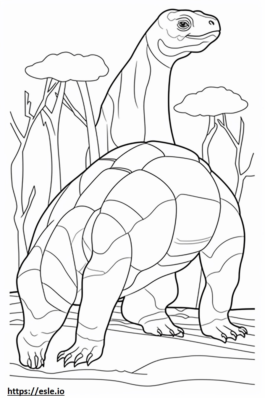 Tortuga Gigante Aldabra cuerpo completo para colorear e imprimir