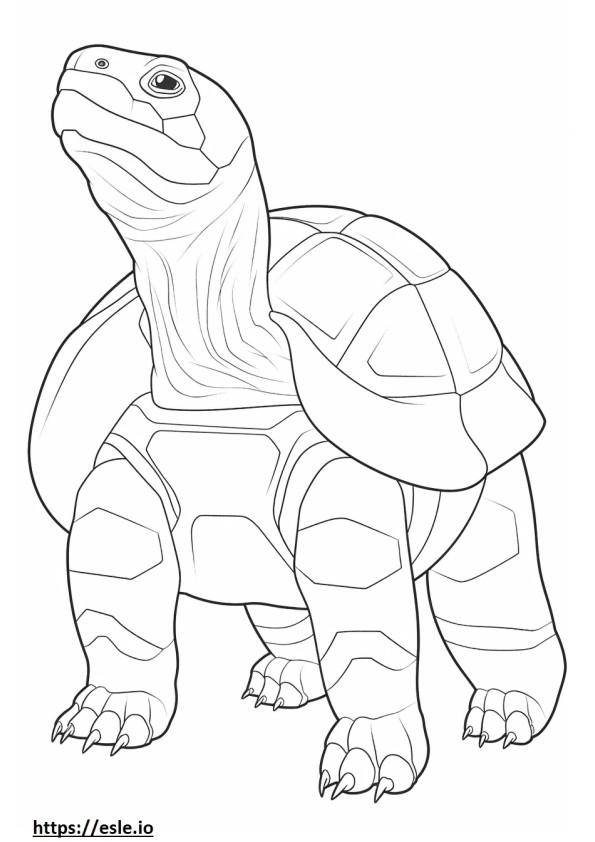 Całe ciało Aldabra Giant Tortoise kolorowanka