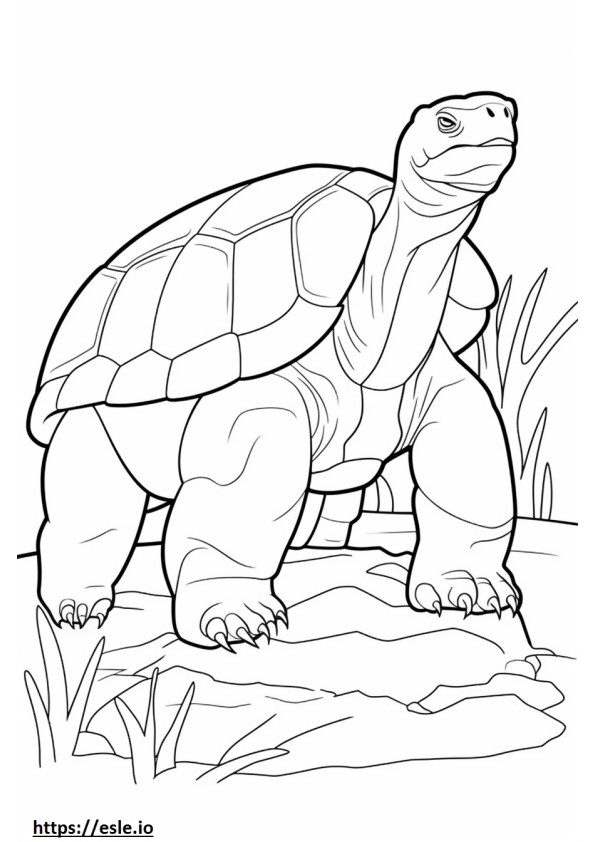 Kura-kura Raksasa Aldabra seluruh tubuhnya gambar mewarnai