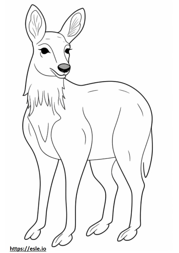 Numbat cute coloring page