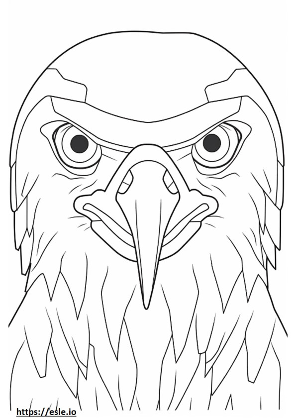 Cara de águia-pescadora africana para colorir