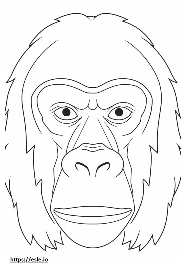 Hegyi Gorilla arc szinező