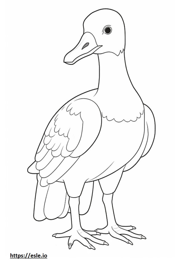 Black-Bellied Whistling Duck cute coloring page