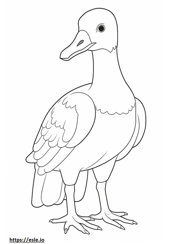 Black-Bellied Whistling Duck cute 0