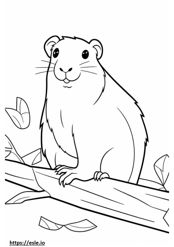 Guinea Pig cute coloring page