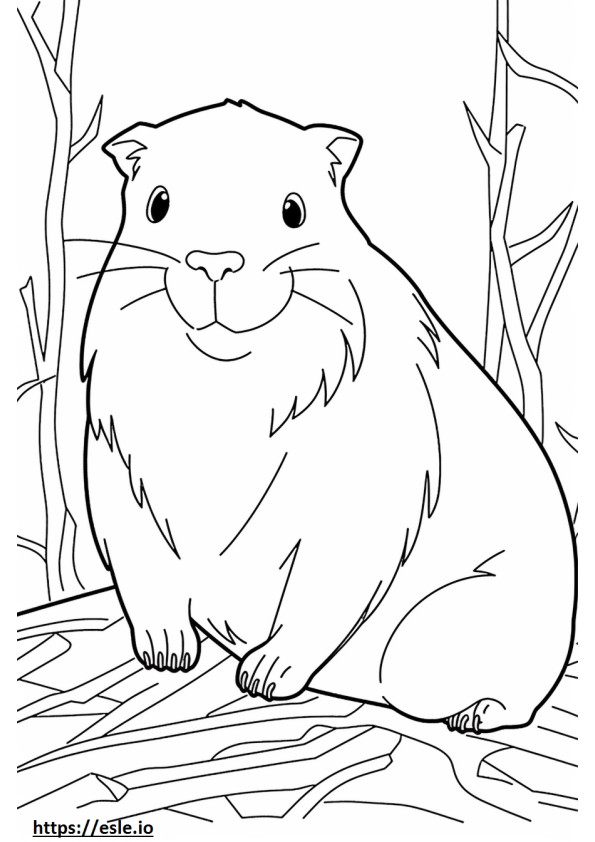 Guinea Pig cute coloring page