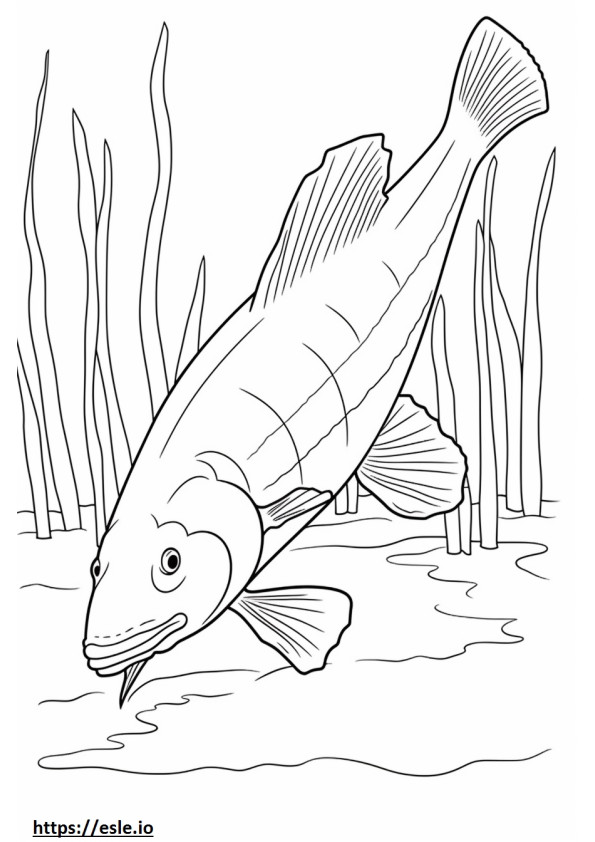 White Catfish full body coloring page