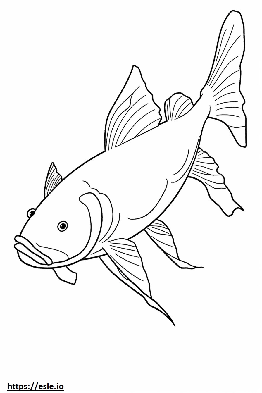 White Catfish full body coloring page