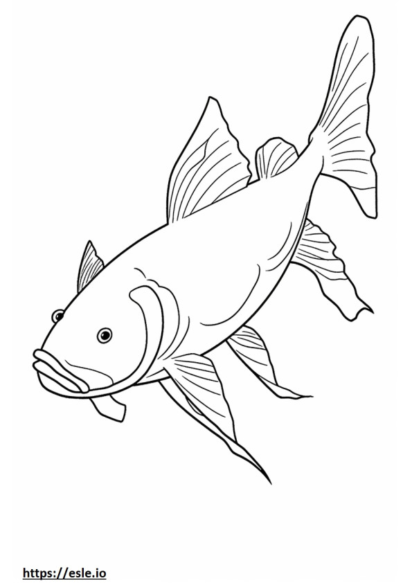 White Catfish koko vartalo värityskuva