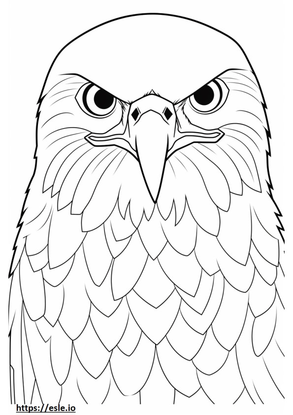 Rosto de falcão de Harris para colorir