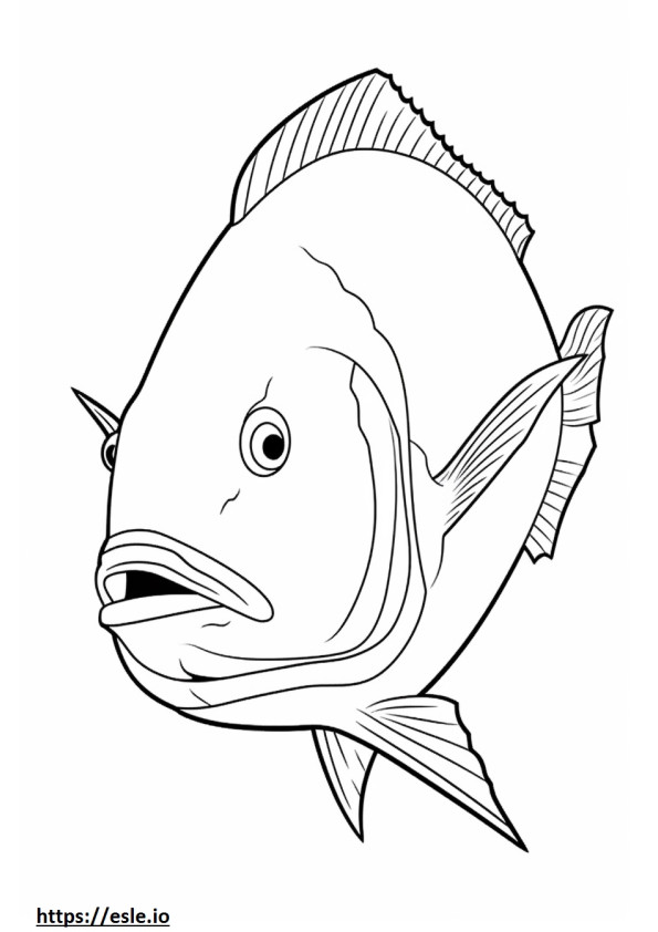 Jack Crevalle face coloring page