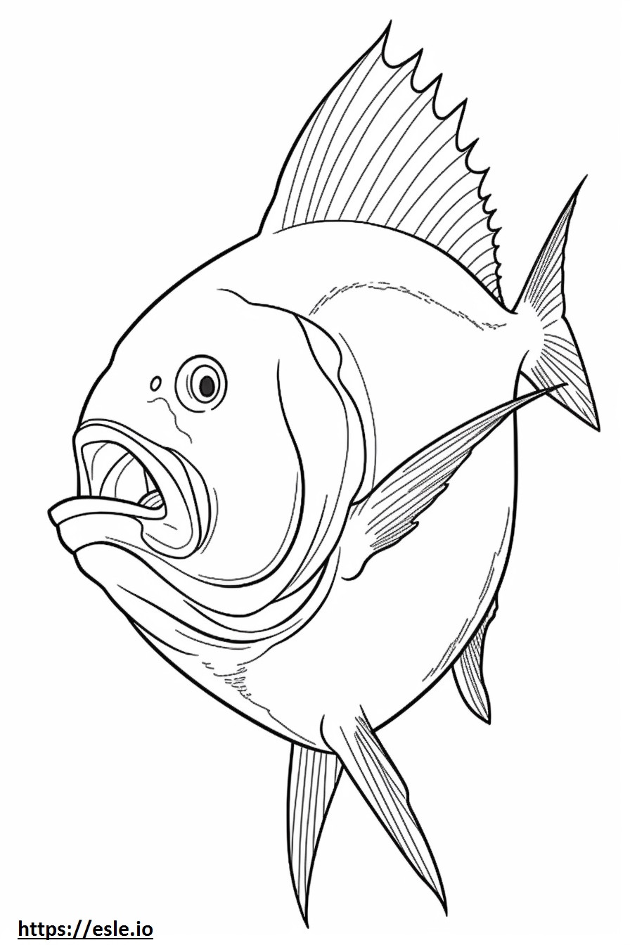 Jack Crevalle face coloring page