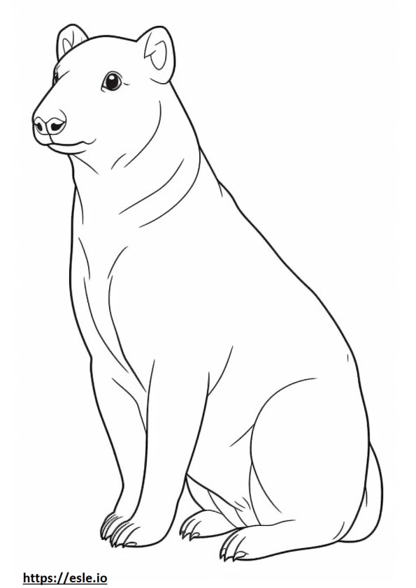 Dorgi full body 0