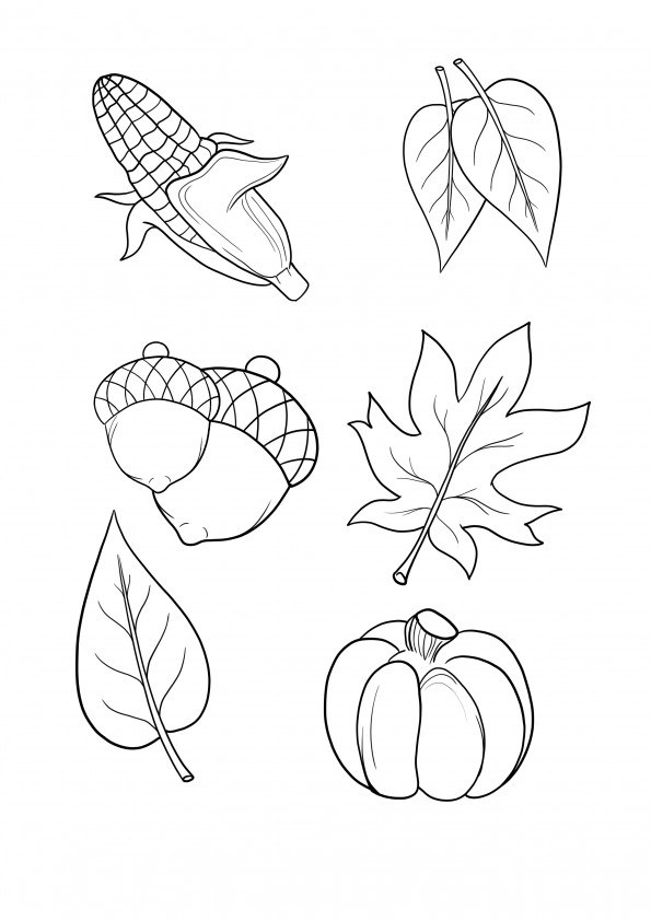 Fall leaves-corn-pumpkin-acorn simple and free coloring sheet for kids of all ages
