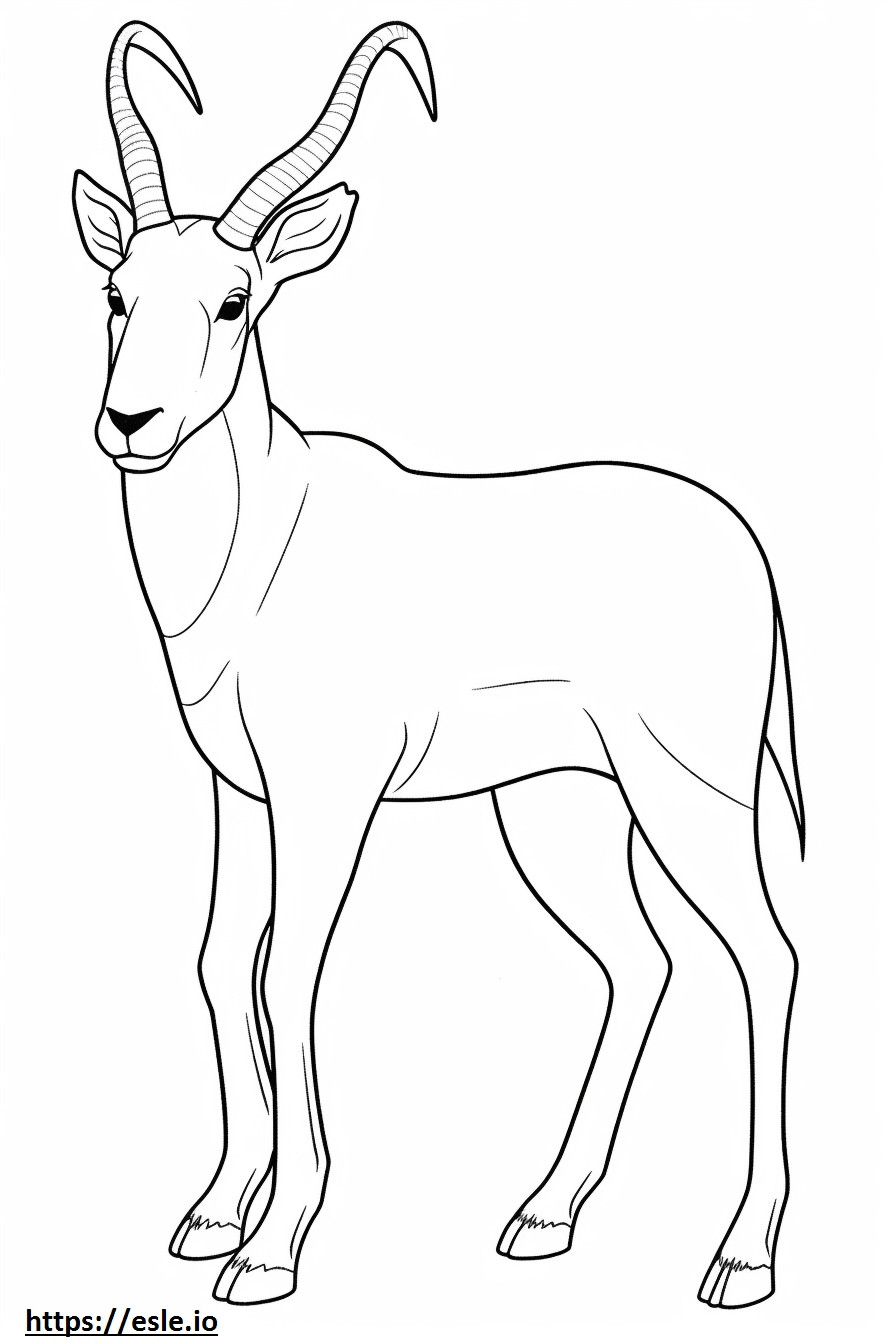 Ibex koko vartalo värityskuva