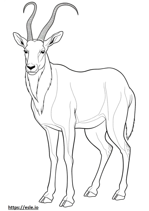 Ibex full body coloring page