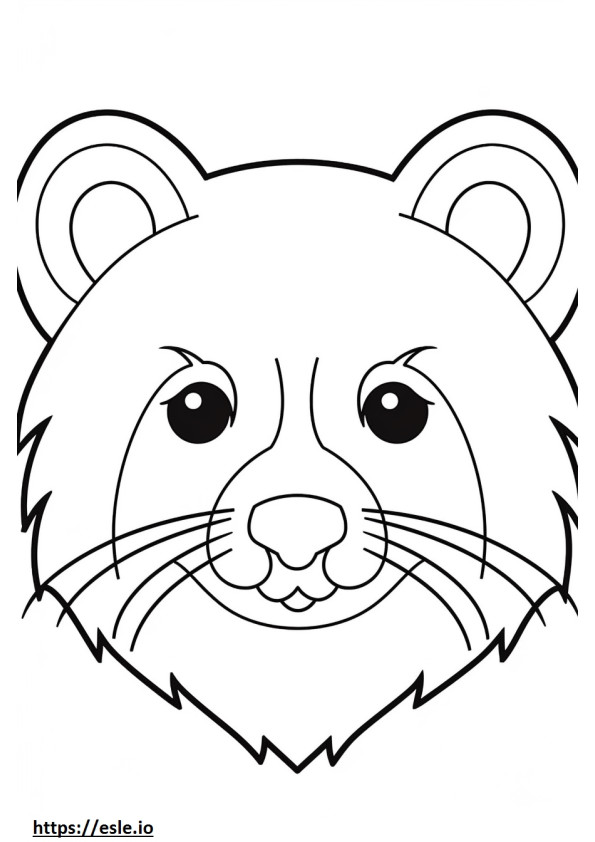 Pomapoo face coloring page