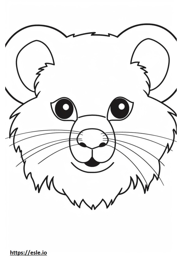 Pomapoo face coloring page