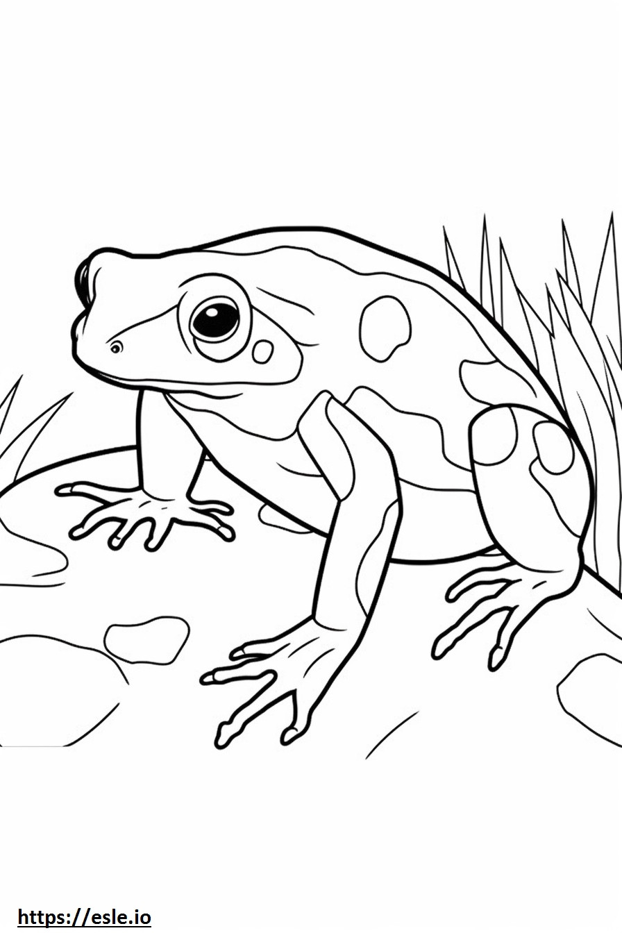 Poison Dart Frog full body coloring page