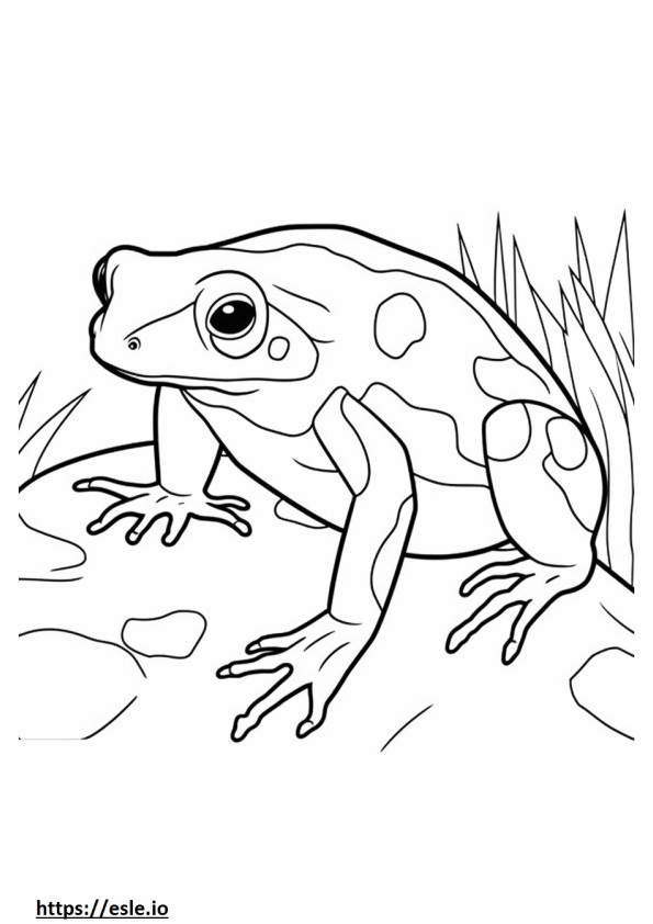Poison Dart Frog koko vartalo värityskuva