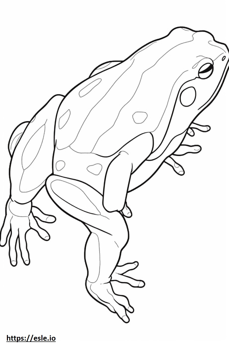 Zehirli Ok Kurbağası tam vücut boyama