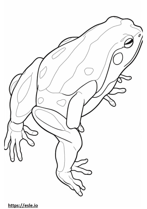 Zehirli Ok Kurbağası tam vücut boyama