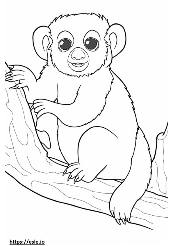 Pygmy Marmoset (Finger Monkey) cute coloring page