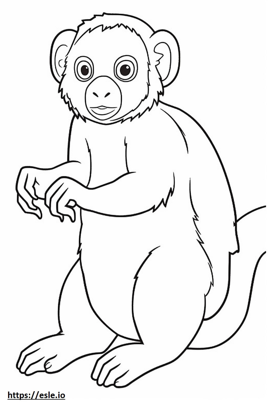 Pygmy Marmoset (Finger Monkey) söpö värityskuva