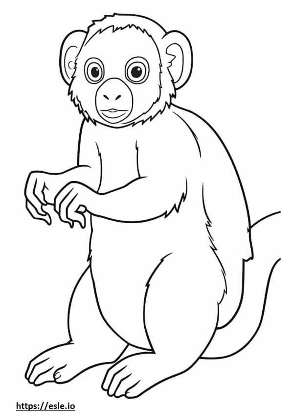 Marmoset pigmeu (maimuță cu degetul) drăguț de colorat