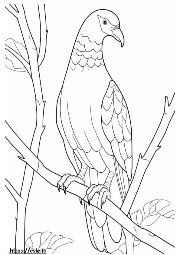 Nicobar pigeon full body coloring page