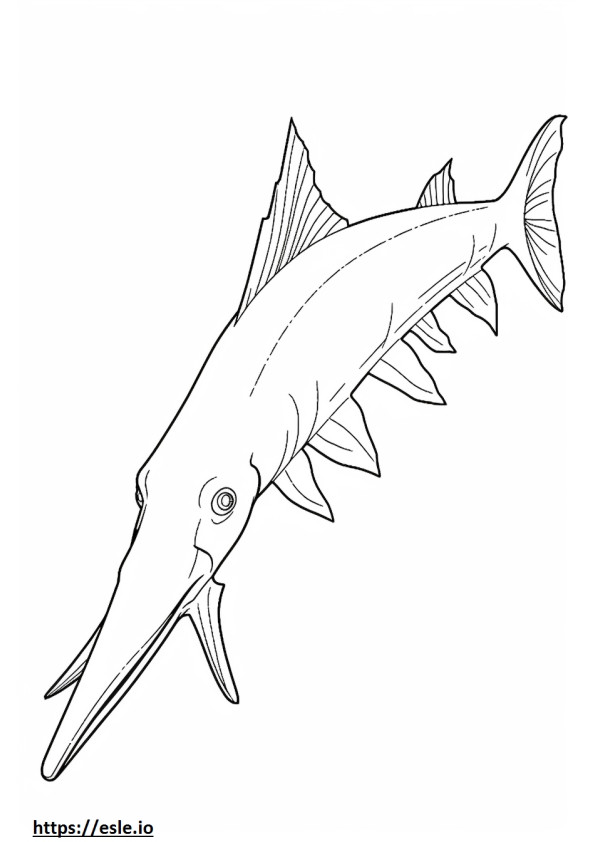 American Paddlefish cute coloring page