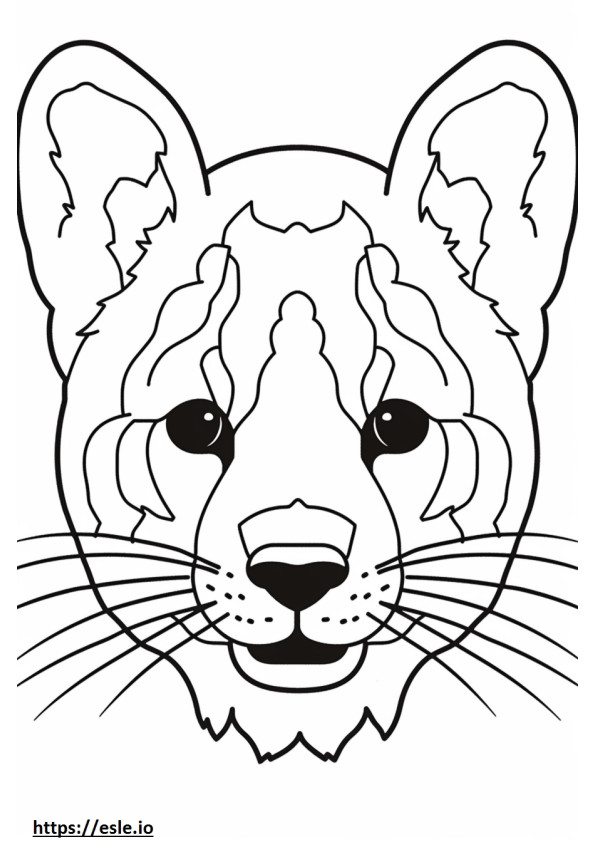 ジュネの顔 3