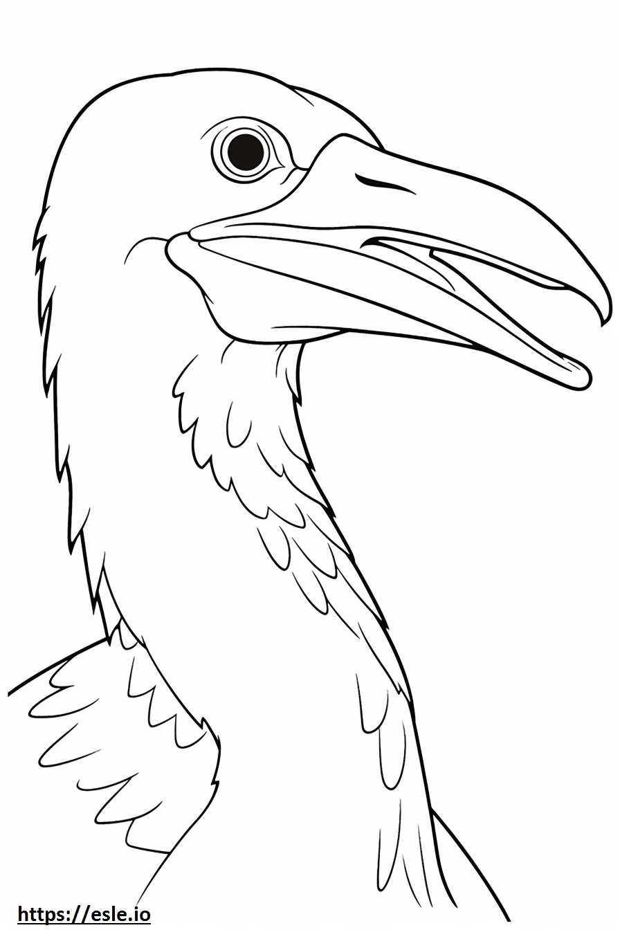 Fața de cormoran de colorat
