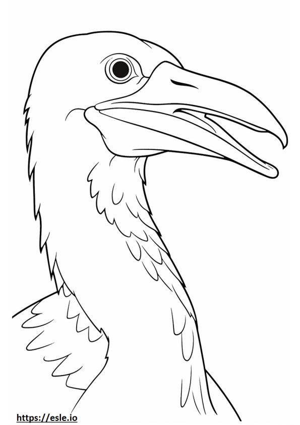 Cormorant face coloring page