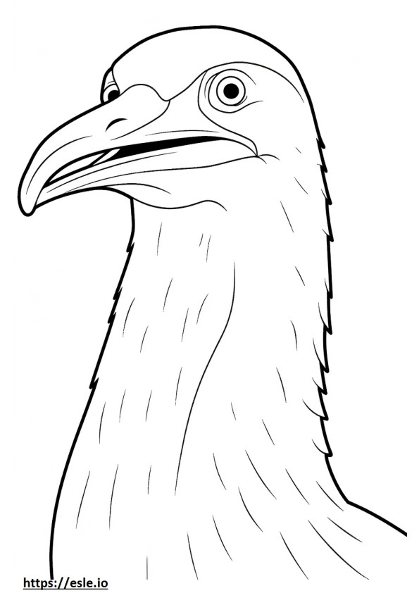 Cormorant face 3