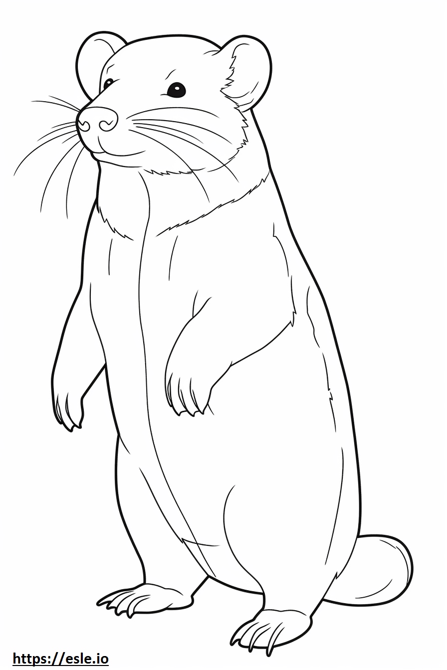 miki cuerpo completo 2 para colorear