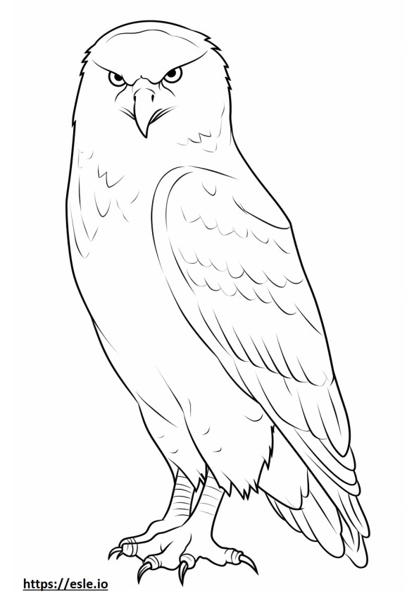 Snowy Owl coloring pages - free printable